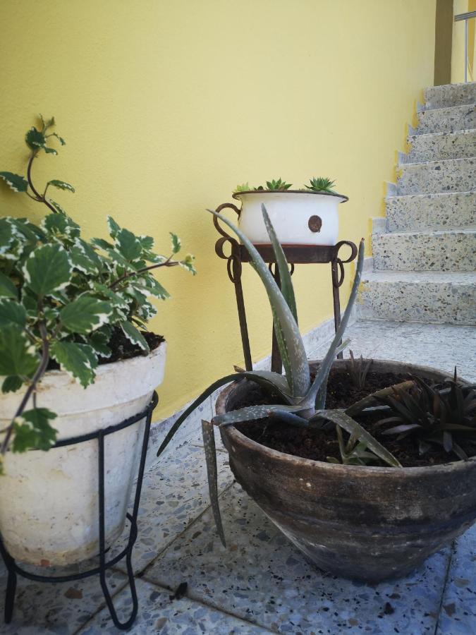 Sober A Maquia Do Pousavedra מראה חיצוני תמונה